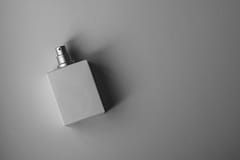 Best colognes To Attract Females